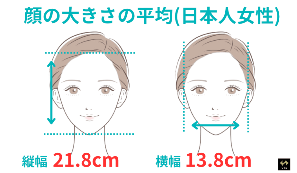 日本人女性の顔の大きさの平均の図